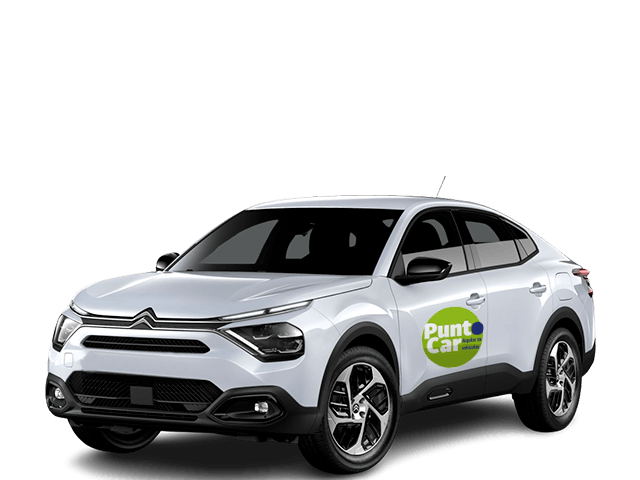 Citroen c4 Punto Car